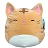 Squishmallow 16 inch Nathan the Tabby Cat Plush Toy, Stuffed Animal, Super Pillow Soft, Orange