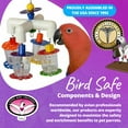 thumbnail image 7 of Super Bird Creations 12 by 7-Inch 4 Way Forager Bird Toy, Large, 7 of 7