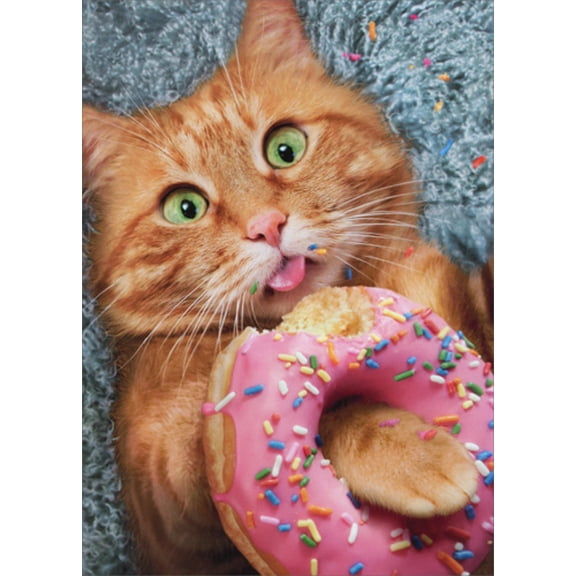 Avanti Press Cat Eating Donut Funny Birthday Card