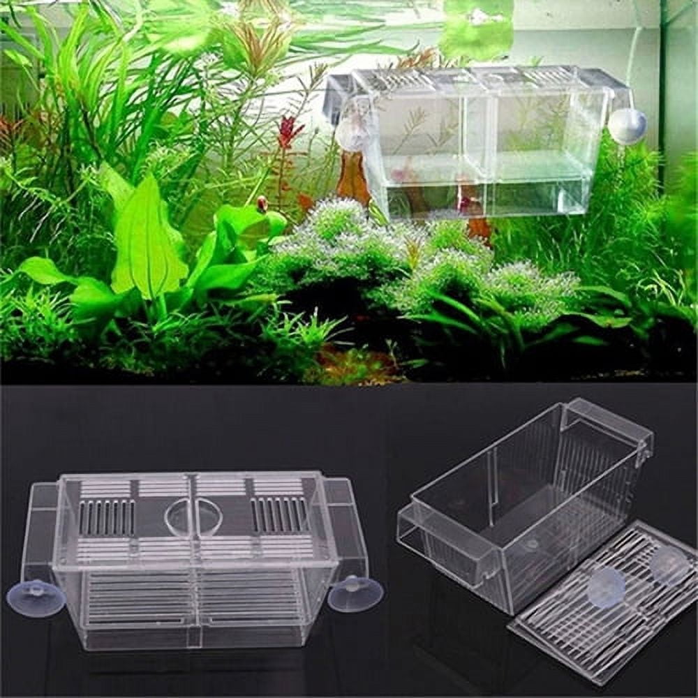 breeding box for molly fish Aquarium Box, Acrylic Double Layer Fishes Isolation Box/Baby Fishs Hatchery/Fry Breeder Guppy,Tropical Fishes, Floating Fish Incubator Tank Divider with Suction Cups, L size : Pet Supplies The Marina 3 Acrylic Fish Breeding Box |