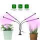 thumbnail image 1 of Lámpara de cultivo para plantas, nueva lámpara de 4 cabezales, temporizador de encendido y apagado automático, luz LED para plántulas, suculentas y orquídeas., 1 of 5