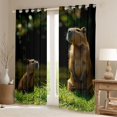 thumbnail image 2 of Erosebridal Animal Capybaras Blackout Curtains Set of 2 (52x84 Each) For Teens,Brown Green Window Curtains,Breathable Home Decor, 2 of 6