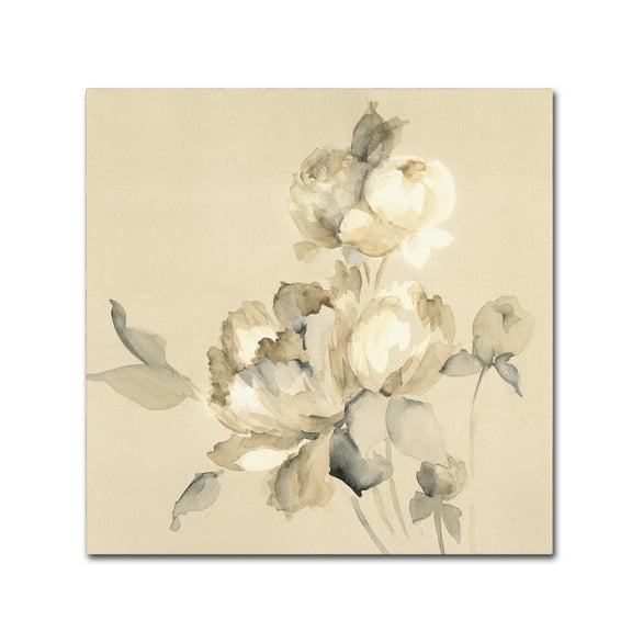 Trademark Fine Art 'Peony Blossoms Crop' Canvas Art by Wild Apple Portfolio