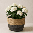 thumbnail image 6 of Lilixerw Woven Planter Basket, Black Large 7.87x6.29x5.9 inch Flower Pot Cover, for Indoor Outdoor Farmhouse Decoration, 6 of 8