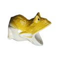 thumbnail image 2 of Cute Frog Shaped Succulent Planter Pot, Cute Animal Shaped Ceramic Flower Pot, Small Ceramic Cactus Flower Container, Funny Animal Shaped Indoor Air Plants Holder, 2 of 4