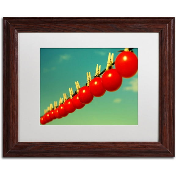 Trademark Fine Art "Sundried Tomatoes" Canvas Art by Beata Czyzowska Young, White Matte, Wood Frame