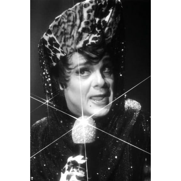 The Birdcage Nathan Lane 24x36 Poster