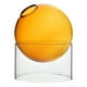 thumbnail image 1 of Jarrón de vidrio transparente con burbujas para plantas hidropónicas. Jarrón de vidrio transparente para flores. Naranja corto, 1 of 8