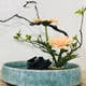 thumbnail image 4 of 12 Piezas de Ranas Flores, Rana Alfiler Kenzan, Soporte Redondo Latón para Flores Arreglos Florales, Herramientas Fijas Florales, 4 of 5