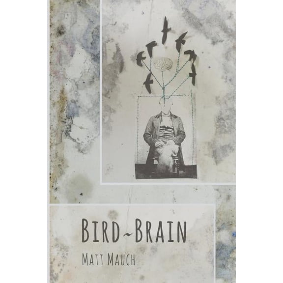 Bird Brain, (Paperback)