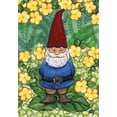 thumbnail image 1 of 109118 Drapeau Standard de Nain de Jardin, 1 of 5