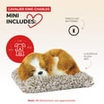 thumbnail image 2 of Juguete para perros con pilas Perfect Petzzz Mini Cavalier King, 2 of 8