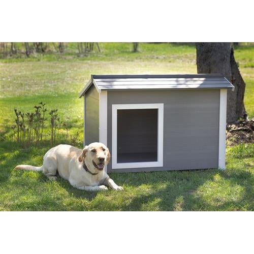 insulated dog houses at walmart