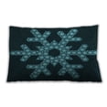thumbnail image 1 of Ahgly Company Indoor Rectangular Contemporary Lumbar Throw Pillow, 13 inch by 19 inch, 1 of 5