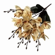 amagogo Artificial Magnolia Bouquet Premium Cloth Flowers Low Maintenance for Home Decor 5 Pcs
