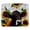 Multicolor, variant on PhooArto Comfortable Mouse Pad Tiger Sunflower Butterflies Desktop Mousepad , 21 x 25 cm Mouse Mat, Non-Slip Rubber Base, Improves Speed and Precision