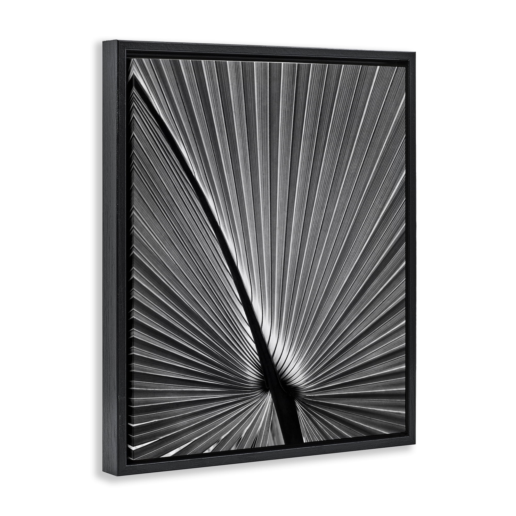Stupell Industries Palm Frond Detail Botanical & Floral Photography Black Floater Framed Art Print Wall Art, 17 x 21