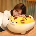 thumbnail image 1 of Linda almohada para abrazar, juguetes de tigre de peluche de Año Nuevo chino, juguetes suaves de tigre muy versátiles, 1 of 9