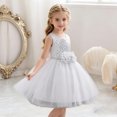 thumbnail image 4 of Little Girls 0-5Y Sleeveless A-Line Sequin Tulle Dress, Flower Decorated Princess Gown for Wedding Ceremony, Pageants & Evening Shows White 2 Years, 4 of 8