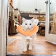 thumbnail image 2 of Mobutofu Post-Surgery Recovery Dog Collar After Surgery Plush Orange 1Set, 2 of 5