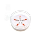 thumbnail image 1 of Juego de 5 señuelos de pesca DYNWAVEMX con mosca Naranja 125cmx055cm, 1 of 8