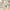 Beige, variant on Allegra K Women's Boho Skirt Casual Floral Printed Elastic Waist Maxi Skirts XS Beige