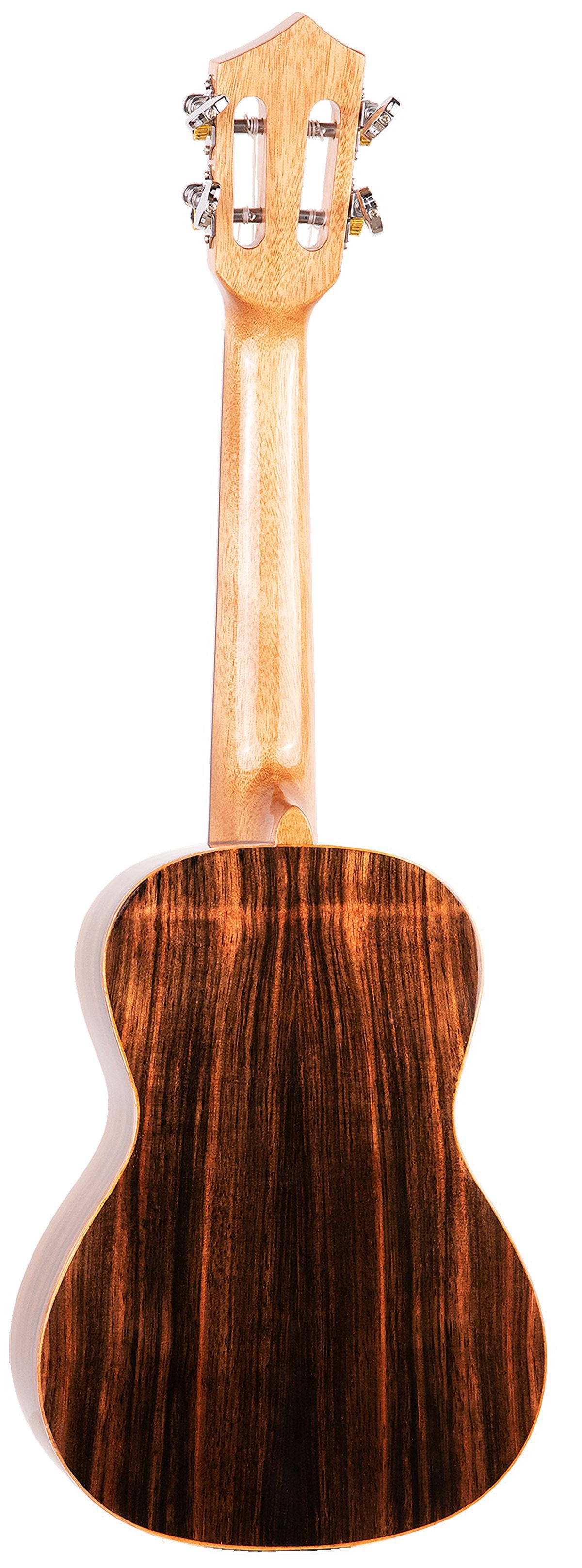 Eddy Finn Expression Series Concert Ukulele with Gig Bag, Ebony