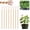 8pcs, variant on Electroculture Plant Stakes, Eco-Friendly Natural Plant Growth Boost Copper Coil Plants Stakes for Garde Garden Stake for Plants Fruits Vegetables Growth Eco-Friendly High-Yield，10pcs