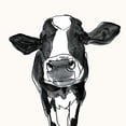 thumbnail image 3 of Borges, Victoria 15x15 Black Modern Framed Museum Art Print Titled - Cow Contour III, 3 of 5