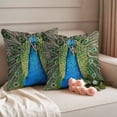 thumbnail image 3 of Pack of 2 Outdoor Pillow Covers,Waterproof Peacock Feathers Throw Pillow Covers,Contemporary Aesthetic Art Decorative Pillowcases Cushion Covers for Patio Couch Pillow Sham Protector 26x26 Inch, 3 of 8