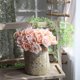 thumbnail image 4 of Gwong Decoración hogareña 1pc Artificial Rose Flor Fotografia PROP BODA DE BODA CASA DE OFICINA DE OFICINA DE OFICINA DE OFICINA Gwong 21029654, 4 of 7