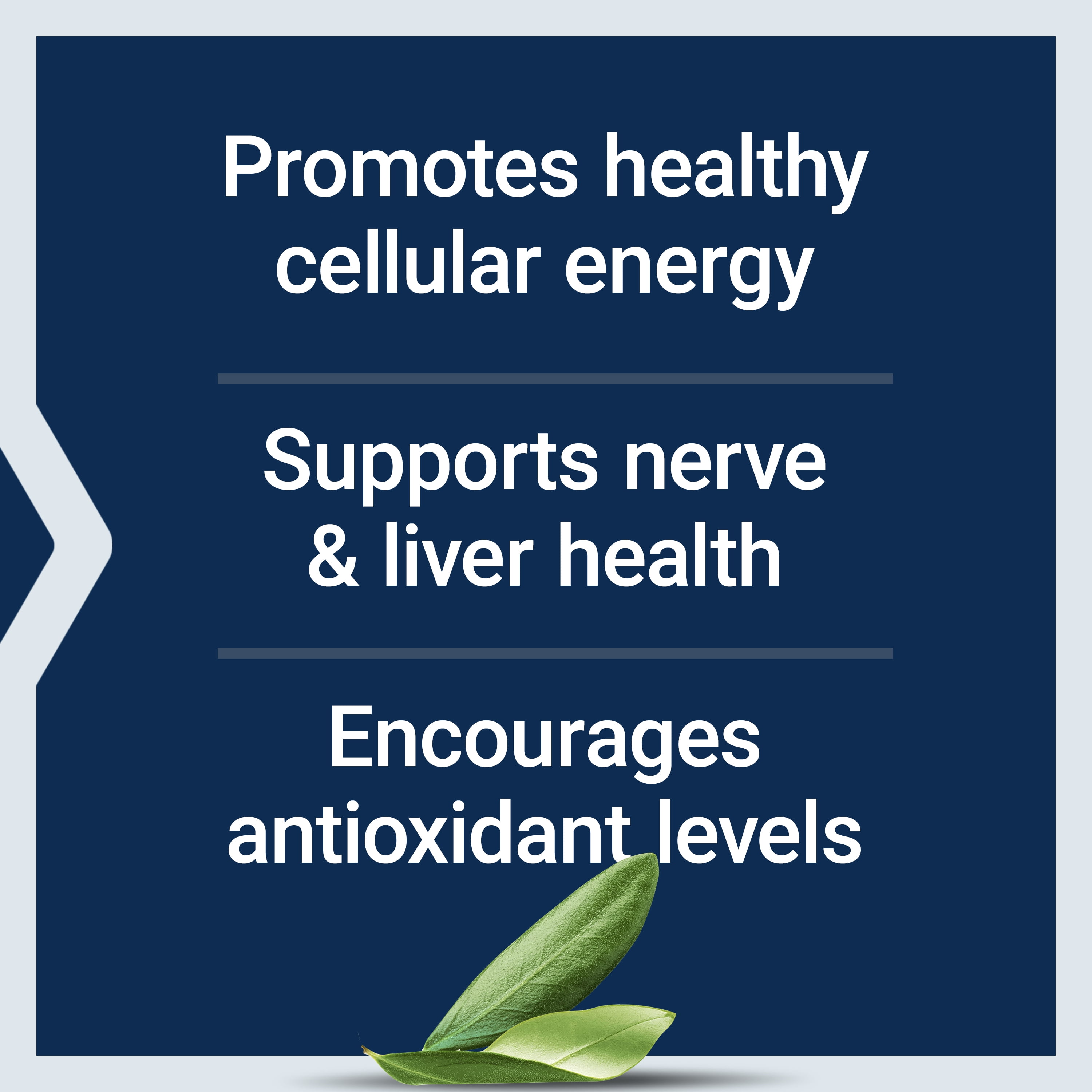 Life Extension Alpha-Lipoic Acid with Biotin, for cell protection, universal antioxidant for liver & nerve health, gluten-free, non-GMO, 60 capsules