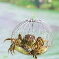 thumbnail image 2 of 2pcs Crab Trap Steel Wire Crab Catcher Cage Wire Mesh Crab Catching Cage, 2 of 6