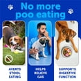 thumbnail image 2 of Suplemento para perros Artullano No Poo Chews, probióticos, calabaza, 2 of 7