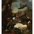 thumbnail image 3 of Melchior d'Hondecoeter 12x13 Black Modern Framed Museum Art Print Titled - A Peacock, Pigeon, Ducks and Other Birds in a Garden Setting, 3 of 5