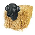 Equine Plastic Calf Head Roping Dummy Head Team Practice Cattle Head