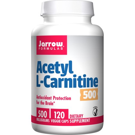 Best L Carnitine For Dogs 500 Mg