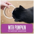 thumbnail image 5 of (12 pack) Tiki Cat Friends Mousse Chicken, Pumpkin & Duck Recipe in Broth, 2.5 oz. Pouch, 5 of 10