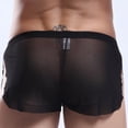 thumbnail image 2 of Sexy Men's Mesh Ultra Thin Boxer Shorts And Underpants Side Split Trunks Brief Panties Underwear Men Boxers Man Pack XXL Red|https://ae01.alicdn.com/kf/Saa2b84a610404ae9b7c5141f2d90a80bQ.jpeg, 2 of 5