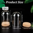 thumbnail image 2 of 2pcs 2pcs Glass Dome Cover with Cork Base 3.1x5.9 Inch Column Glass Dome Display Clear Glass Dome Eternal Flower Glass Display Case Cloche Bell Jar for Flower Storage Home Party Decoration, 2 of 6