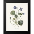thumbnail image 2 of Babbitt, Gwendolyn 12x14 Black Modern Framed Museum Art Print Titled - Sweet Violets, 2 of 5