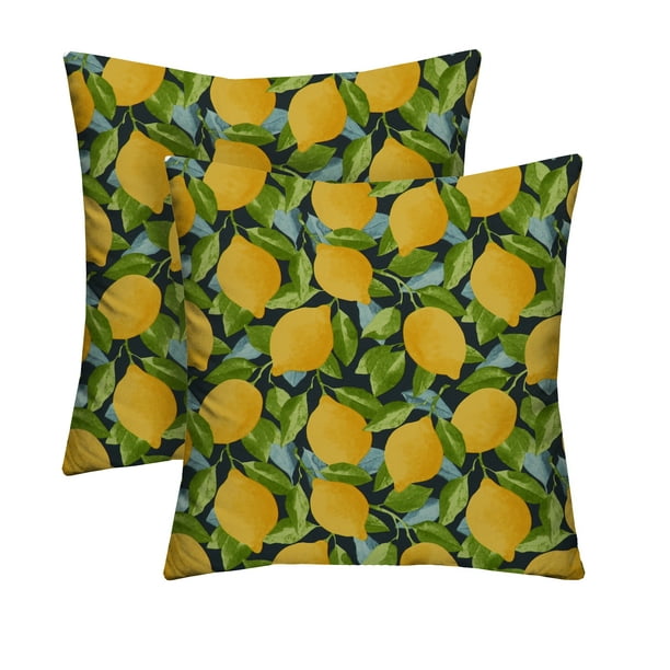 RSH Décor Indoor Outdoor Set of 2 Pillows 24" x 24", Citrus Sapphire