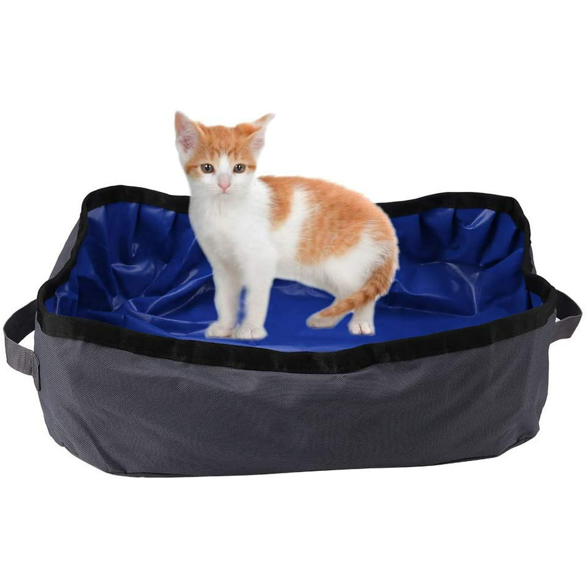 Best kitty litter for portable toilet 2025