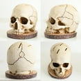 thumbnail image 2 of SDJMa Skull Knife Holder For Kitchen Storage, Horror Kitchen Storage Head Rack Kitchen, Scary Party Fruit Storage Rack Decor, Halloween Resin Skull Ornaments Gifts, Resin Knife Block Without Knives, 2 of 6