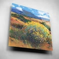 thumbnail image 2 of Epic Art 'Chamisa II' by Tim O'Toole, Acrylic Glass Wall Art, 12"x12", 2 of 7