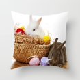 thumbnail image 4 of Funda de almohada feliz Pascua, decoración para sofá, fiesta en casa, conejo, huevos, 45x45CM, 4 of 4