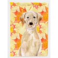 thumbnail image 1 of Carolines Treasures BB9506GF Yellow Labrador Fall Flag Garden Size, 1 of 3