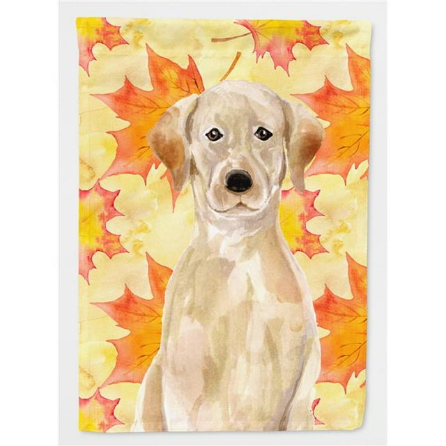 Carolines Treasures BB9506GF Drapeau Jaune Labrador Automne Jardin Taille