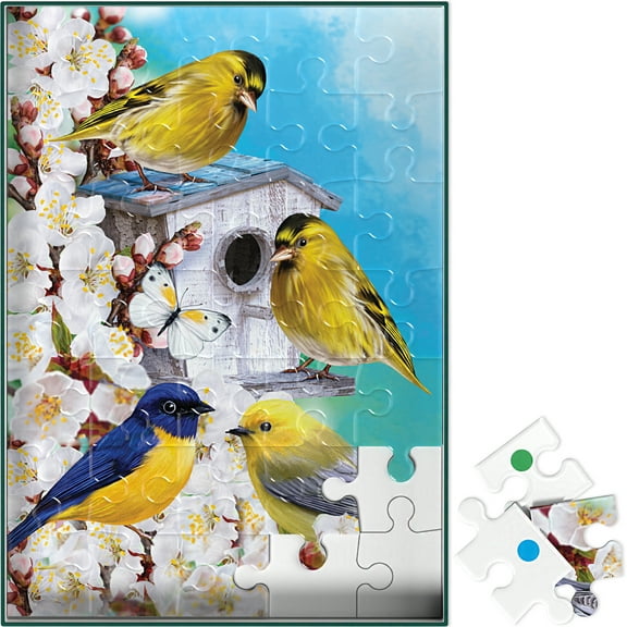 Keeping Busy Dementia Puzzle - 35 pcs Color Coded for Multiple Levels, Singing Around the Birdhouse
