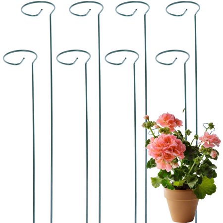 8 Pack Plant Stakes For Flowers Metal Single Stem Plant Support Garden Plant Stakes For Amaryllis Orchid Lily Rose Tomatoes Dark Green 16 Inch Walmart Canada